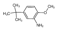5-叔丁基-邻茴香胺
