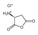 (3S)-3-氨基二氢-2，5-呋喃二酮盐酸盐