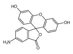 5-氨基荧光素
