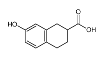 7-羟基-1，2，3，4-四氢萘-2-羧酸