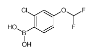 (2-氯-4-(二氟甲氧基)苯基)硼酸