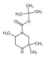 叔丁基2，5，5-三甲基哌嗪-1-甲酸叔丁酯