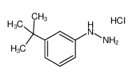 (3-(叔丁基)苯基)肼盐酸盐