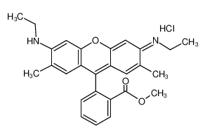 罗丹明590氯化物