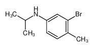 3-溴-4-甲基-n-(丙-2-基)苯胺