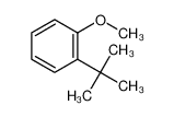 1-(叔丁基)-2-甲氧基苯