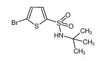 5-溴噻吩-2-叔丁基磺酰胺
