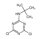 N-(叔丁基)-4,6-二氯-1,3,5-三嗪-2-胺