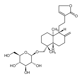 新穿心莲内酯