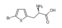 (R)-2-氨基-3-(5-溴噻吩-2-基)丙酸