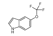 5-三氟甲氧基吲哚
