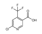6-氯-4-(三氟甲基)烟酸