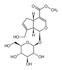 栀子提取物