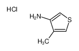 4-甲基噻吩-3-胺盐酸盐