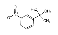 间叔丁基硝基苯