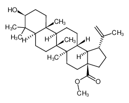 白桦酯酸甲酯