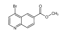 4-溴喹啉-6-羧酸甲酯