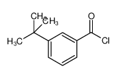 3-(叔丁基)苯甲酰氯