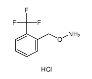 O-(2-(三氟甲基)苄基)羟胺盐酸盐