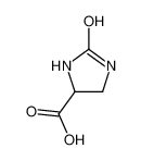2-氧代咪唑烷-4-羧酸