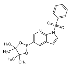 1-(苯磺酰基)-5-(4，4，5，5-四甲基-1，3，2-二氧硼杂环戊烷-2-基)-1H-吡咯并[