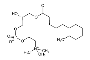 L-A-溶血磷酰脂胆碱