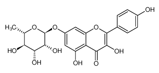 Kaempferol-7-O-rhamnoside
