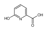 6-羟基-2-吡啶羧酸