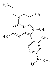 R121919