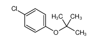 1-叔丁氧基-4-氯苯