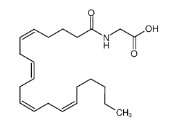 N-Arachidonylglycine