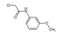 2-氯-N-(3-甲氧基苯基)乙酰胺