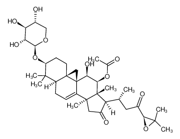 黑升麻苷H-1