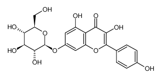 山奈酚-7-O-Β-D-葡萄糖苷