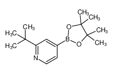 2-叔丁基-4-吡啶硼酸频那醇酯