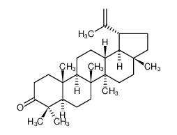 羽扇烯酮