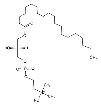 1-花生四酰-2-羟基-sn-甘油-3-磷酸胆碱