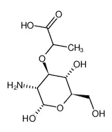 保护胞壁酸