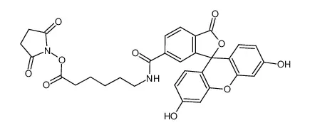 6-[荧光素-5(6)-甲酰氨基]-己酸-N-羟基琥珀酰亚胺酯