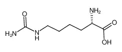 L-高瓜氨酸