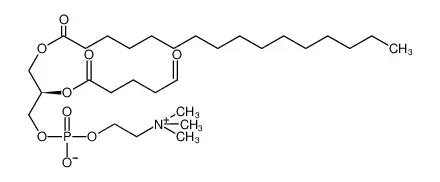 1-棕榈酰-2-（5'-氧代戊酰）-sn-甘油-3-磷酸胆碱