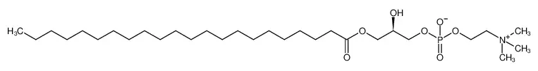 1-behenoyl-2-hydroxy-sn-glycero-3-phosphocholine