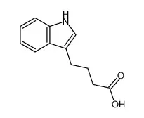 3-吲哚丁酸