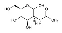 N-乙酰-D-半乳糖胺