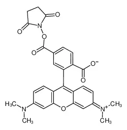 6-羧基四甲基罗丹明琥珀酰亚胺酯