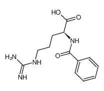 N-α-苯甲酰-L-精氨酸