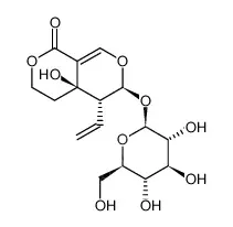 獐牙菜苦甙