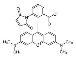Tetramethylrhodamine-6-maleimide