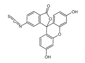 荧光素-6-异硫氰酸酯 (同分异构体II)