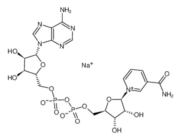 β-烟酰胺腺嘌呤二核苷酸 钠盐